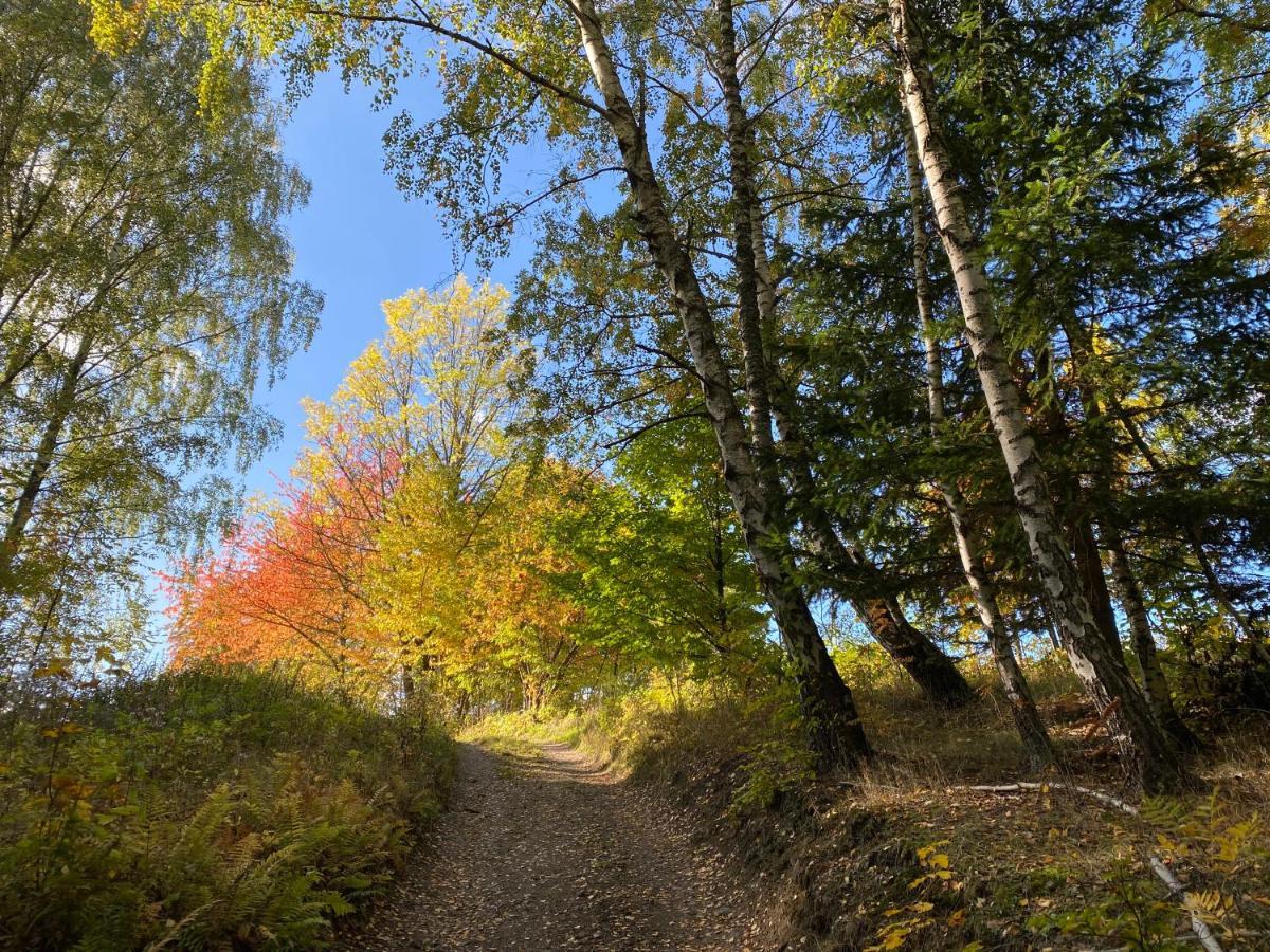 Apartmán HYGGE Bratrouchov Jablonec nad Jizerou Eksteriør billede